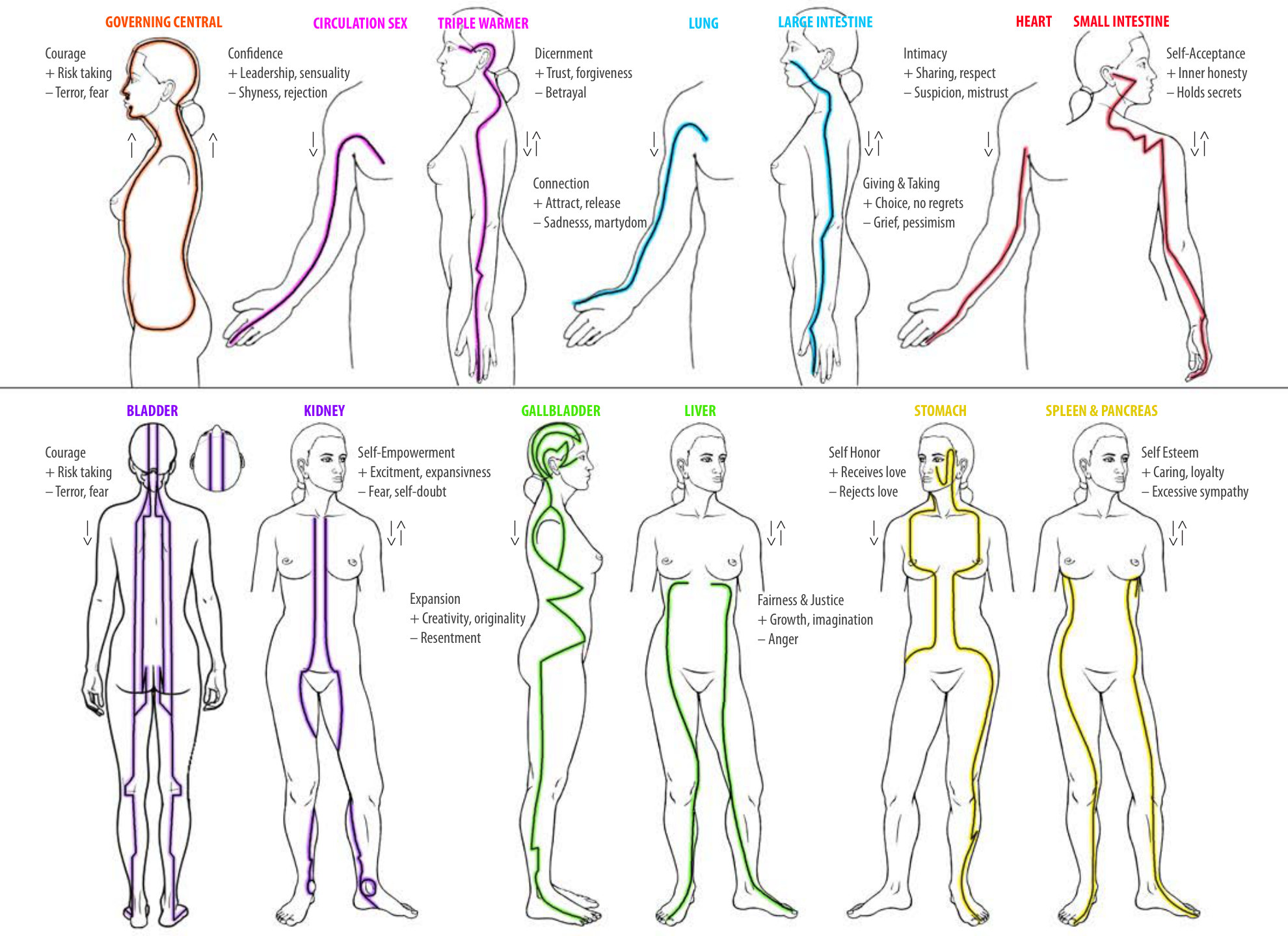 Fourteen meridian lines on the body with a job-word, a plus, and a minus