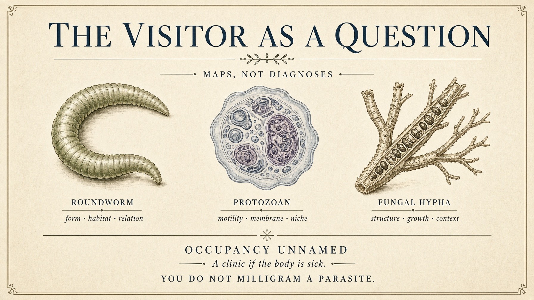 Banner: the visitor as a question