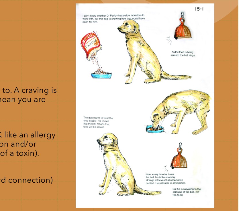 Chart 15-1: the yellow dog at the bowl — allergy as a story, not as overexposure