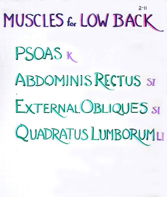 Low back · 2-11