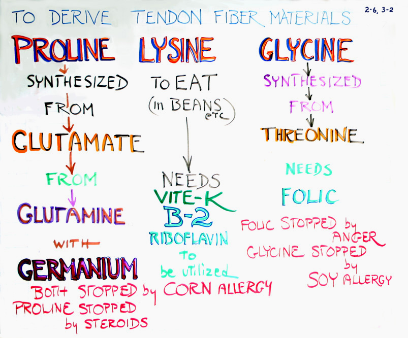 Derive collagen · 2-6