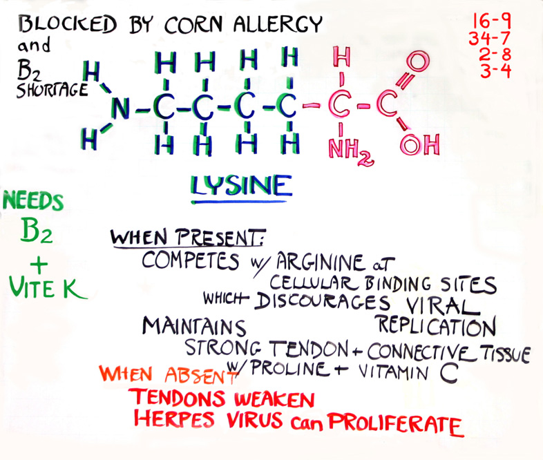 Lysine · 2-8