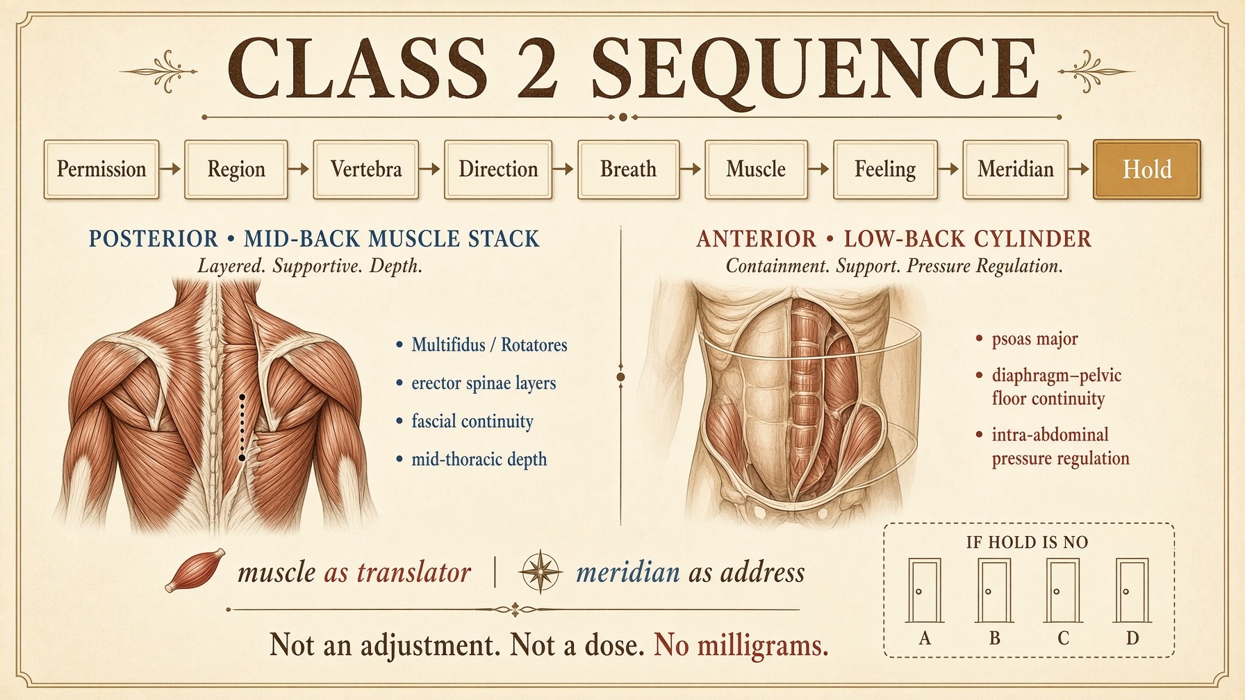 Class 2 sequence: permission through hold, mid-back stack and low-back cylinder