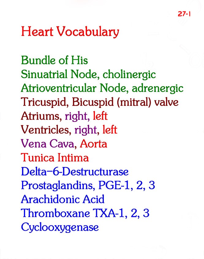 Vocabulary as the lab door
