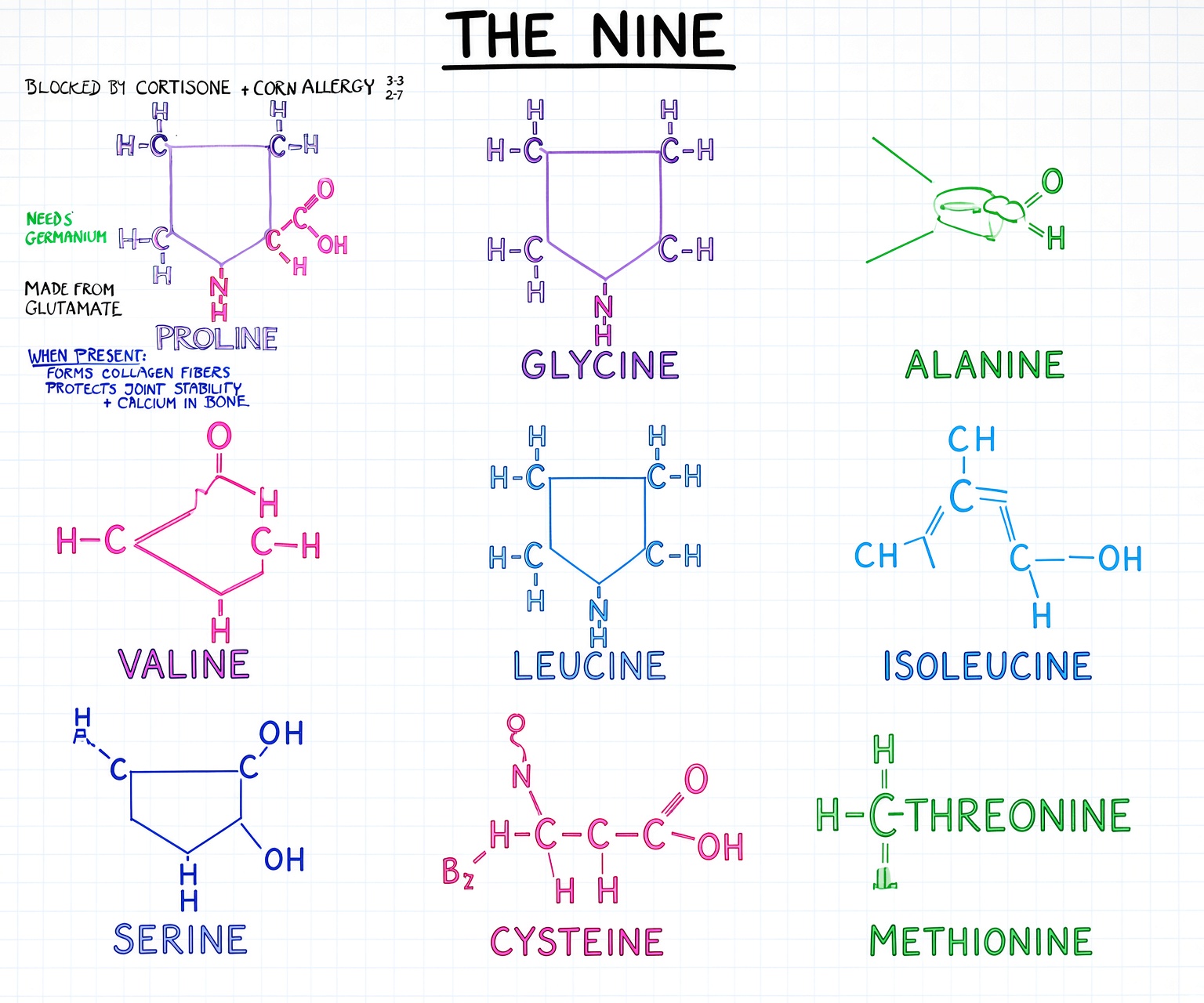 The nine essential amino acids in the adult — histidine stands. Threonine, not threonin.