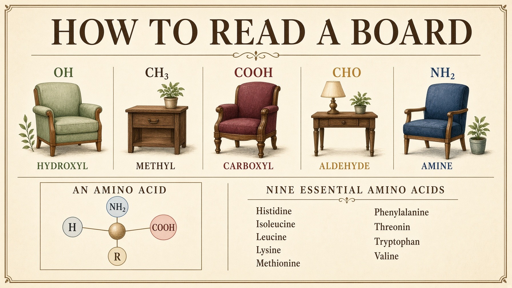 Banner: hydroxyl, methyl, carboxyl, aldehyde, amine — furniture of a formula