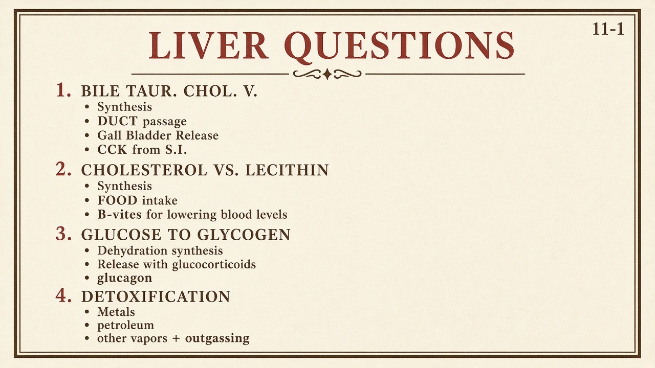Chart 11-1: liver questions — bile, cholesterol vs lecithin, glucose to glycogen, detoxification