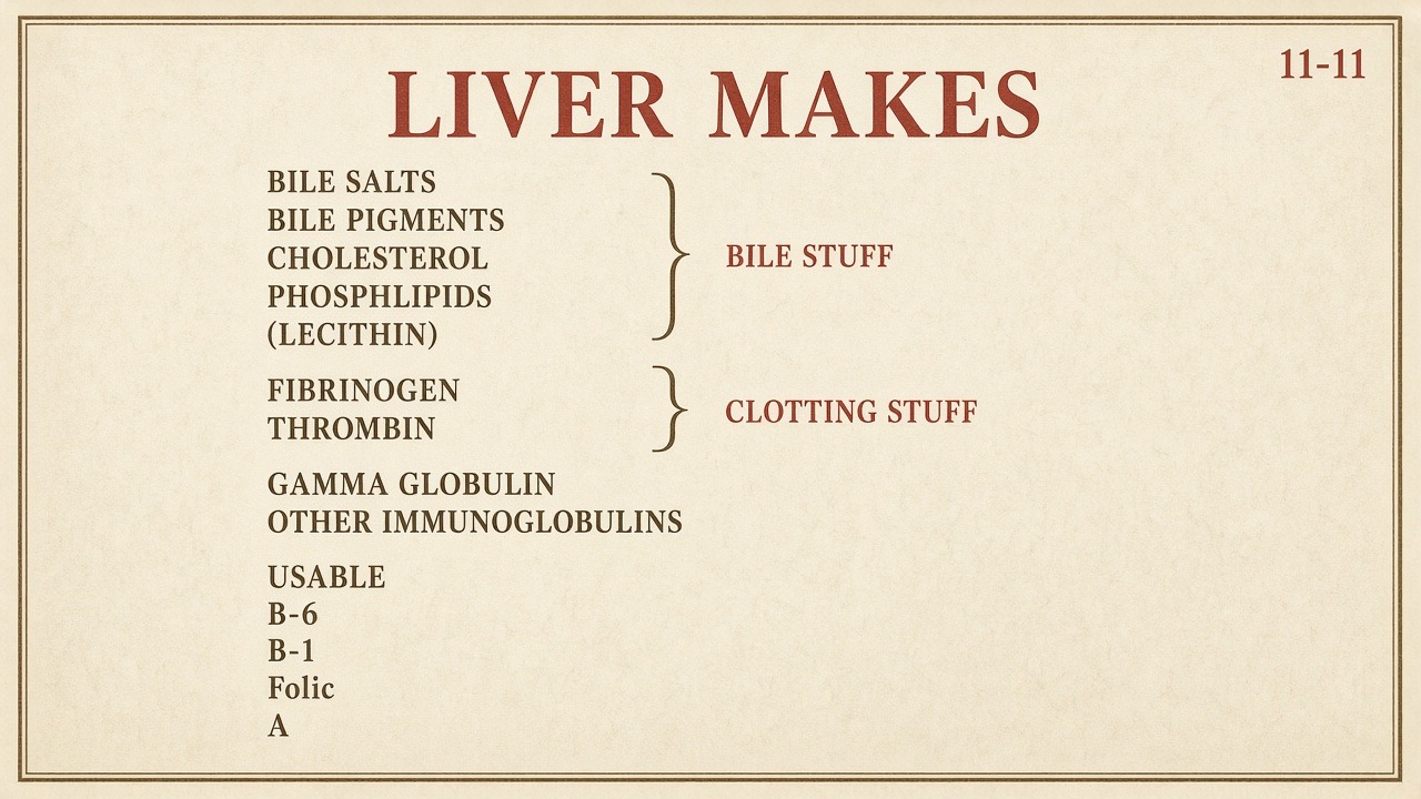 Chart 11-11: liver makes bile stuff, clotting stuff, immunoglobulins, usable B-6, B-1, folate, A