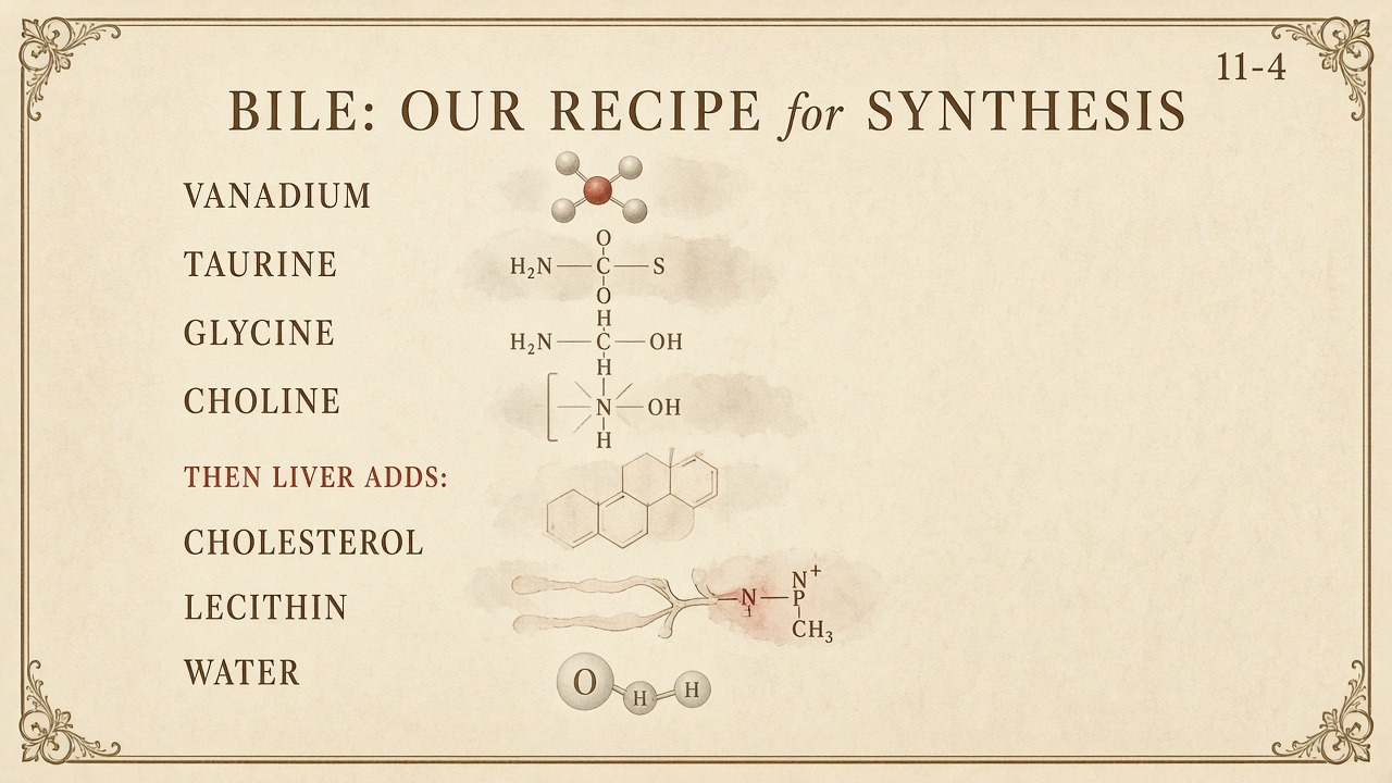 Chart 11-4: bile recipe — vanadium, taurine, glycine, choline, then cholesterol, lecithin, water