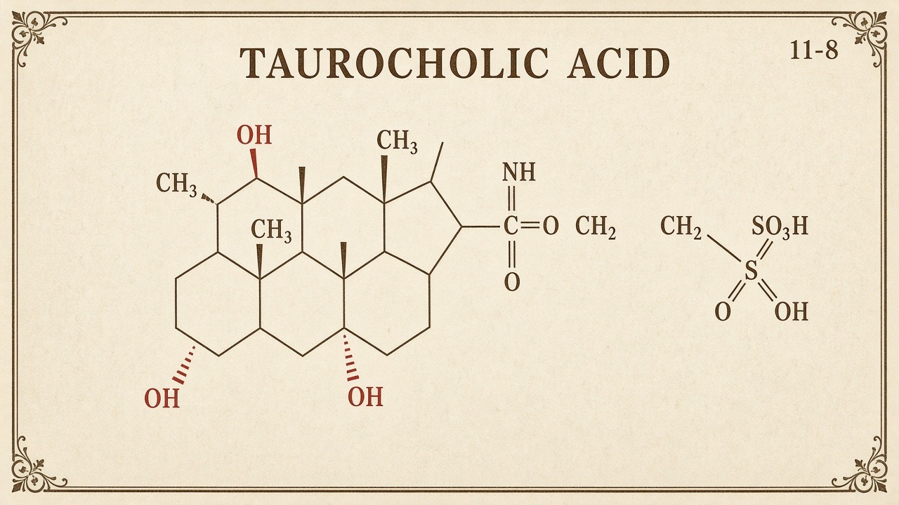 Chart 11-8: taurocholic acid