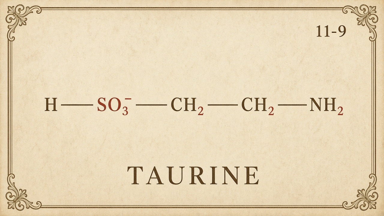 Chart 11-9: taurine