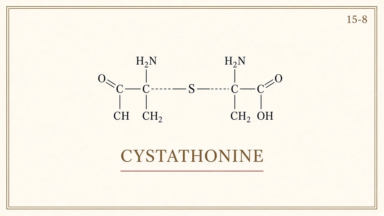 Chart 15-8: cystathionine