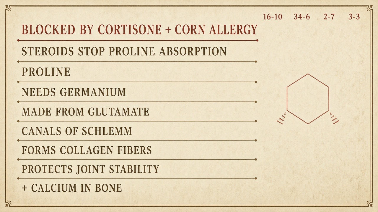 Chart 16-10: proline blocked by cortisone and corn allergy — made from glutamate, needs germanium