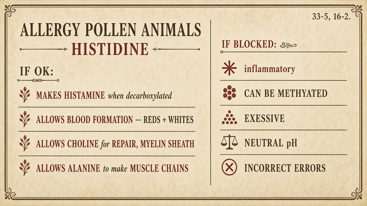 Chart 16-2 again: if blocked, inflammation and a methylation that missed