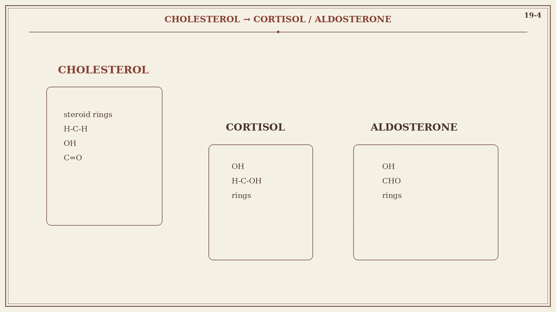 Chart 19-4: cholesterol, cortisol, and aldosterone structures