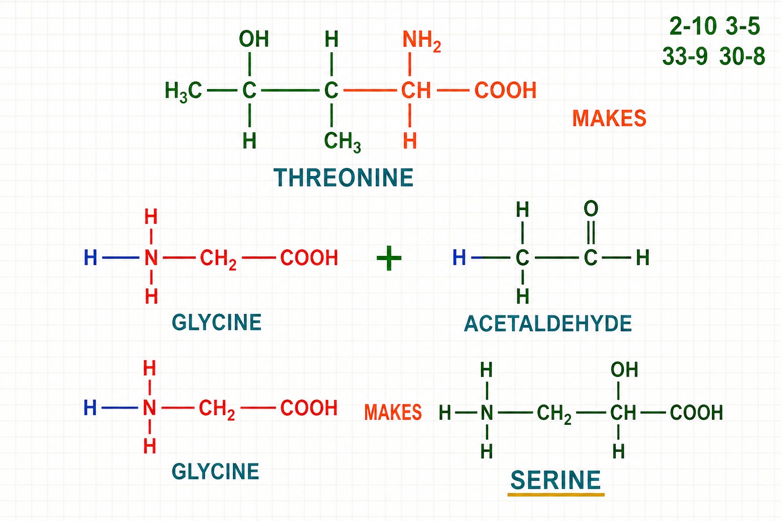 Chart 2-10A: threonine, glycine, acetaldehyde, serine