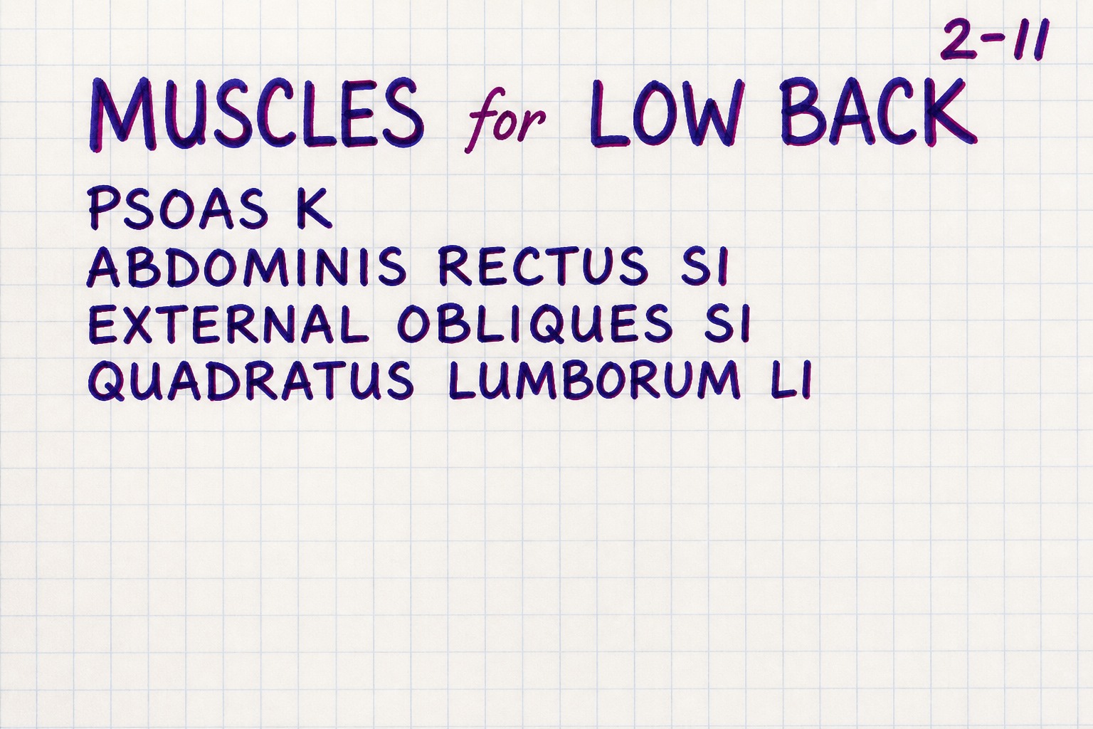 Handwritten chart 2-11: muscles for the low back — psoas kidney, rectus and external obliques small intestine, quadratus lumborum large intestine