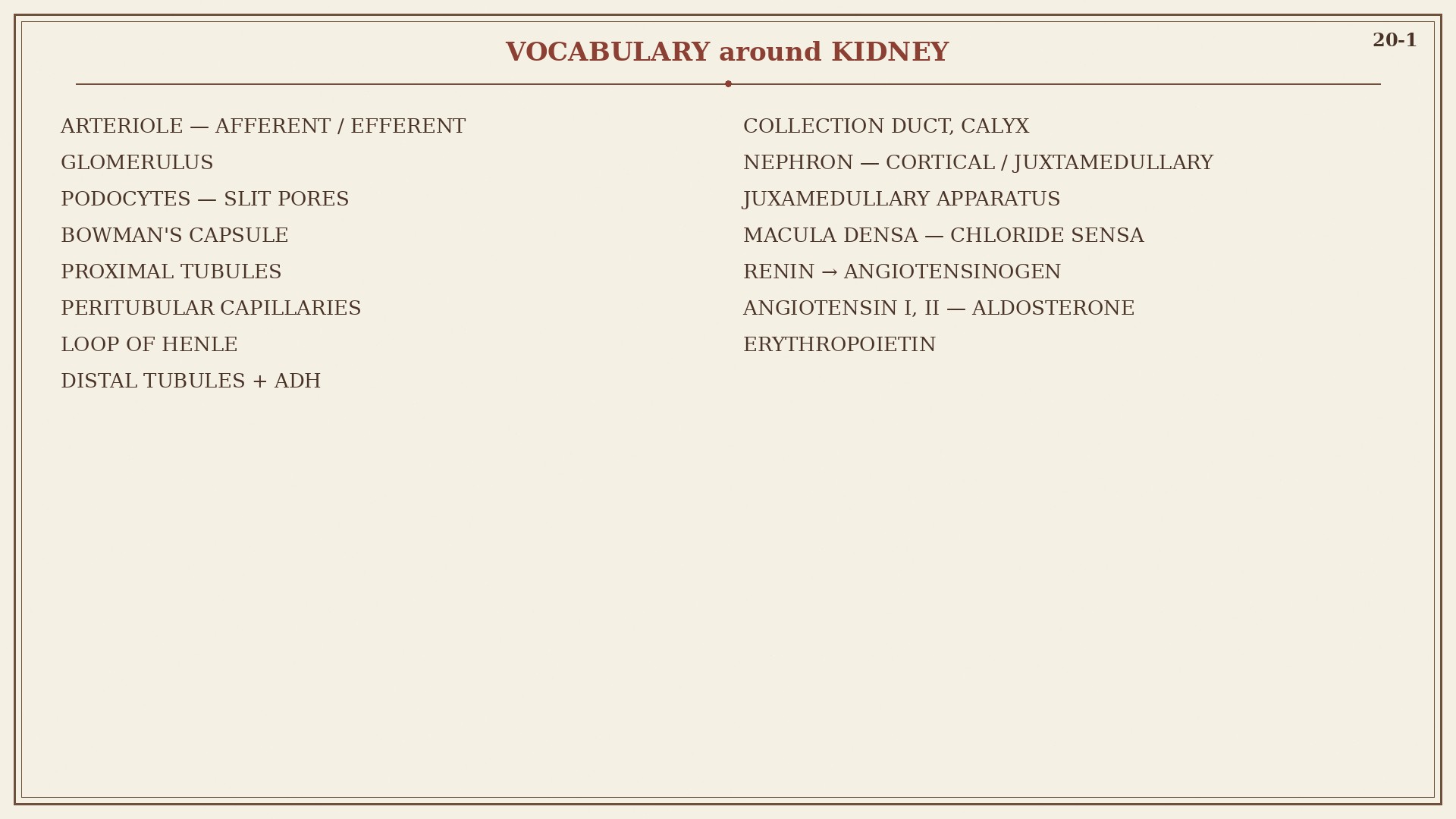 Chart 20-1: vocabulary around kidney