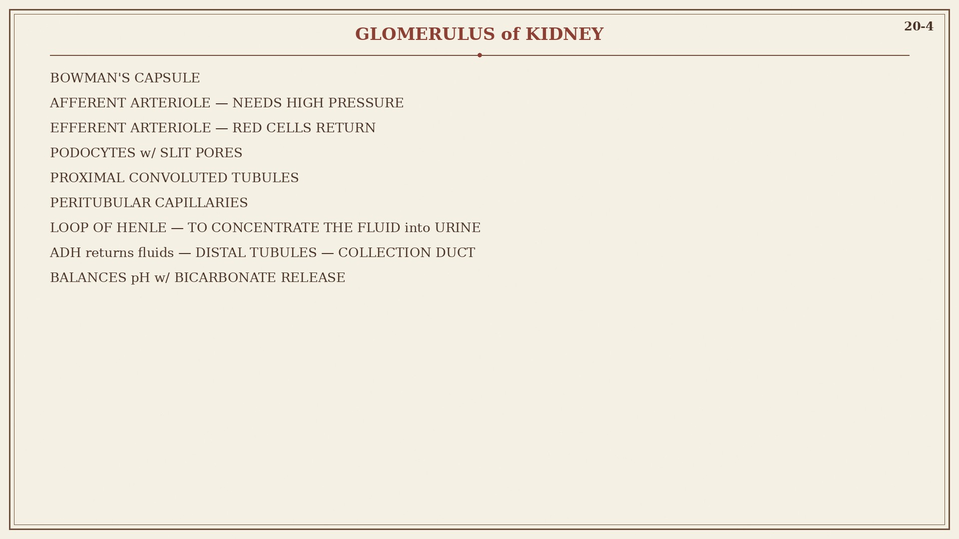 Glomerulus board as the lab door