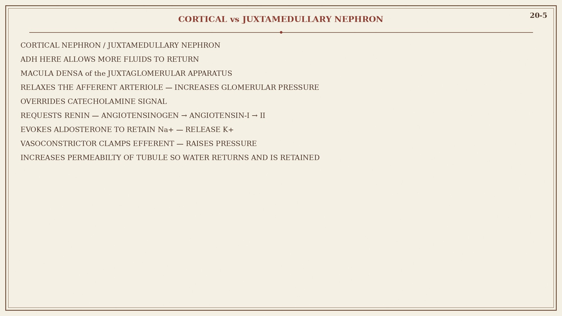Chart 20-5: cortical and juxtamedullary nephrons, macula densa, renin to aldosterone, ADH