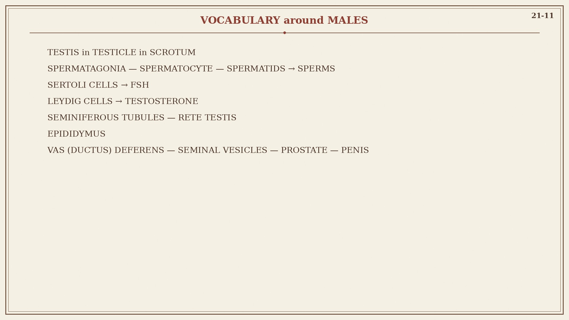 Chart 21-11: vocabulary around males