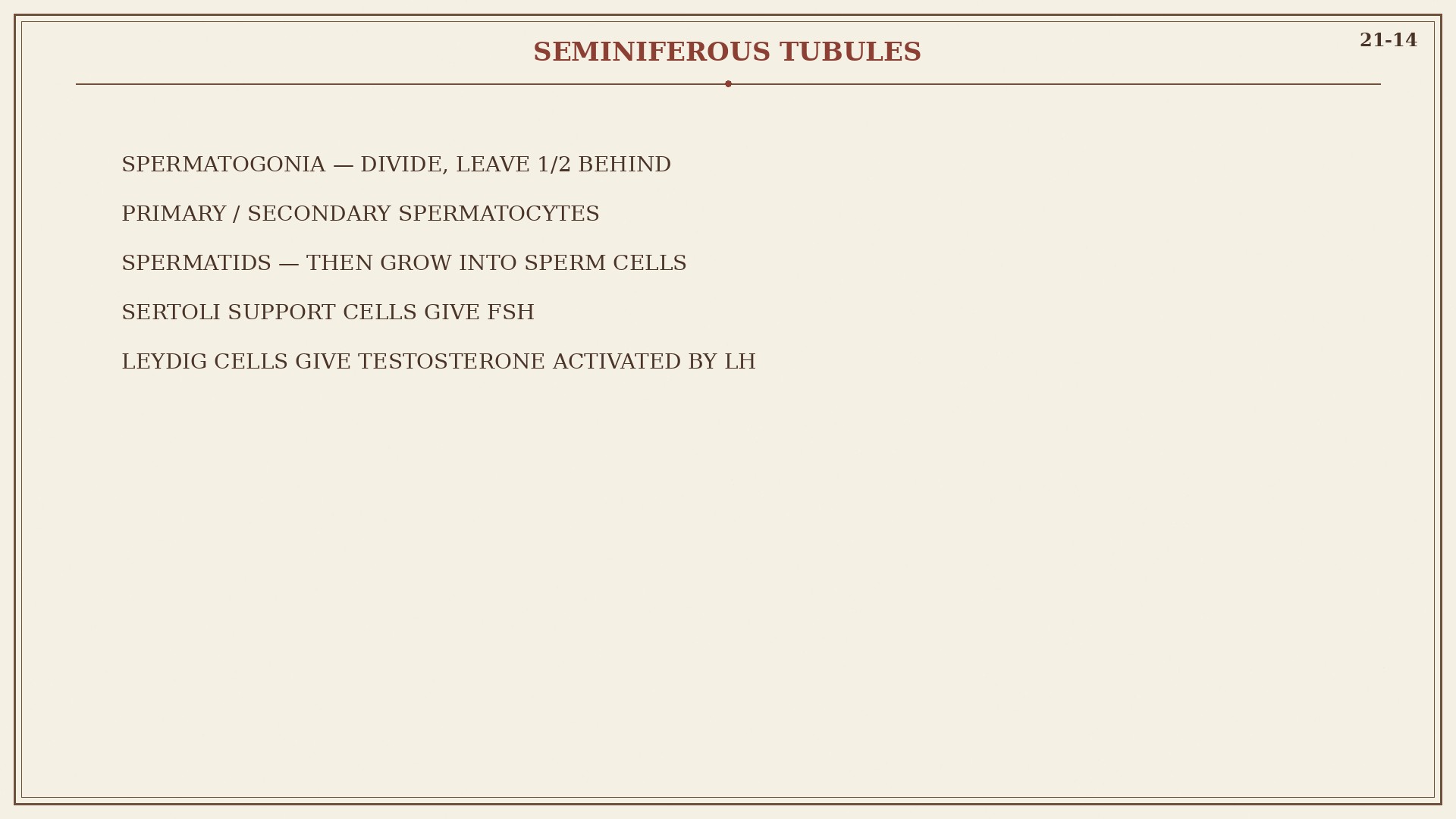 Chart 21-14: seminiferous tubule, spermatogonia to sperm, Sertoli, Leydig