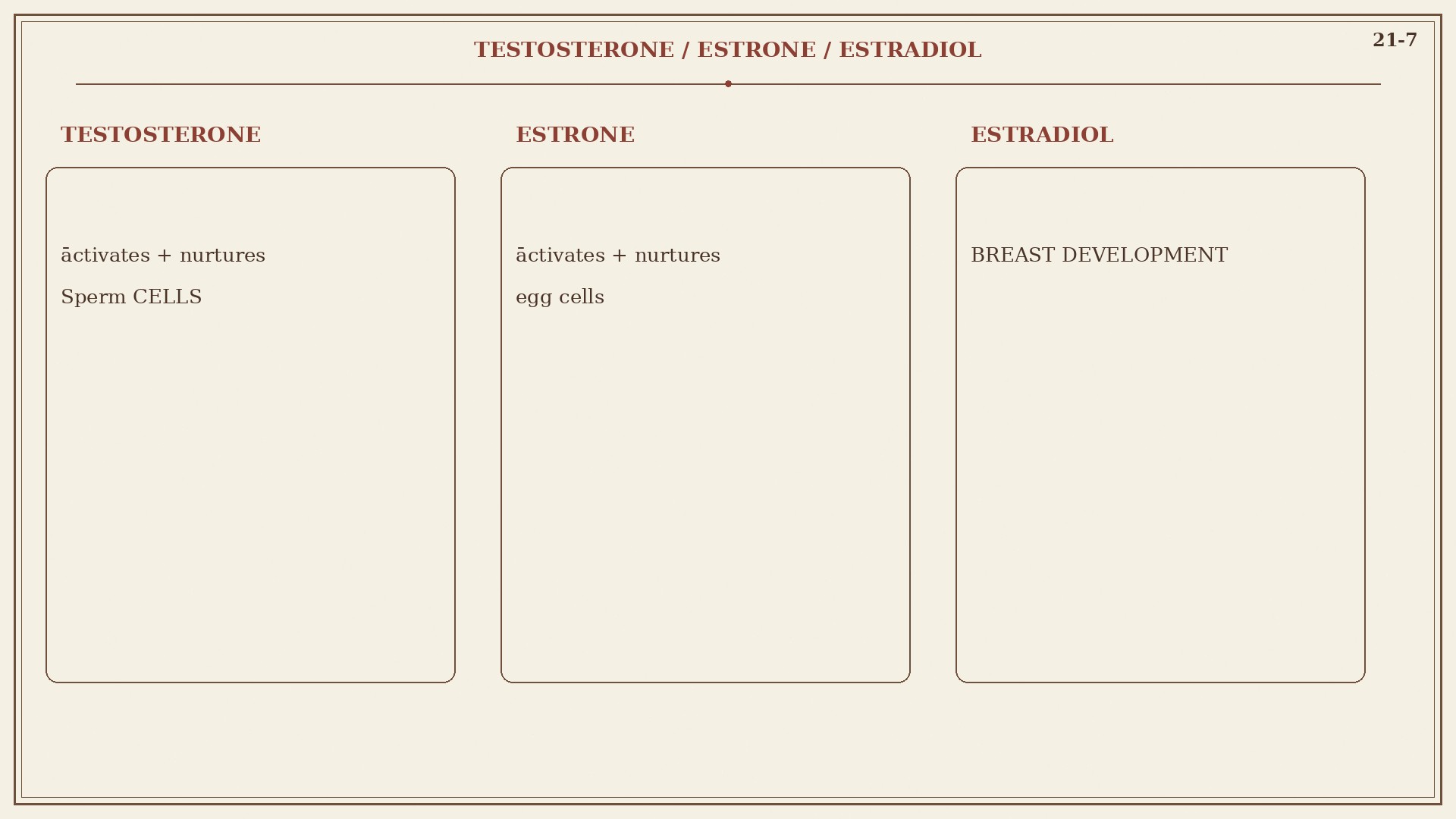 Chart 21-7: testosterone, estrone, estradiol