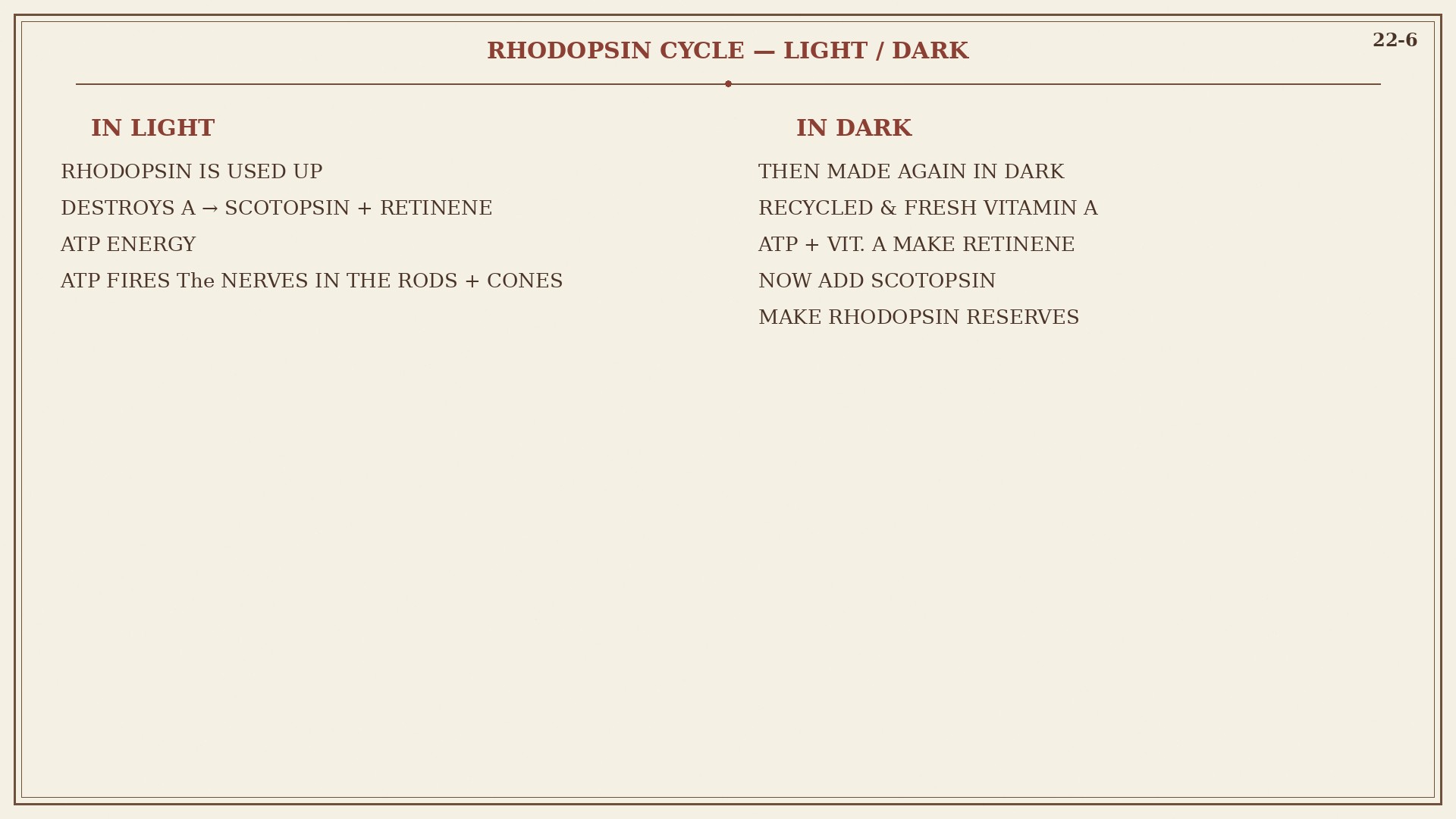 Chart 22-6: in light rhodopsin splits, in dark vitamin A rebuilds it