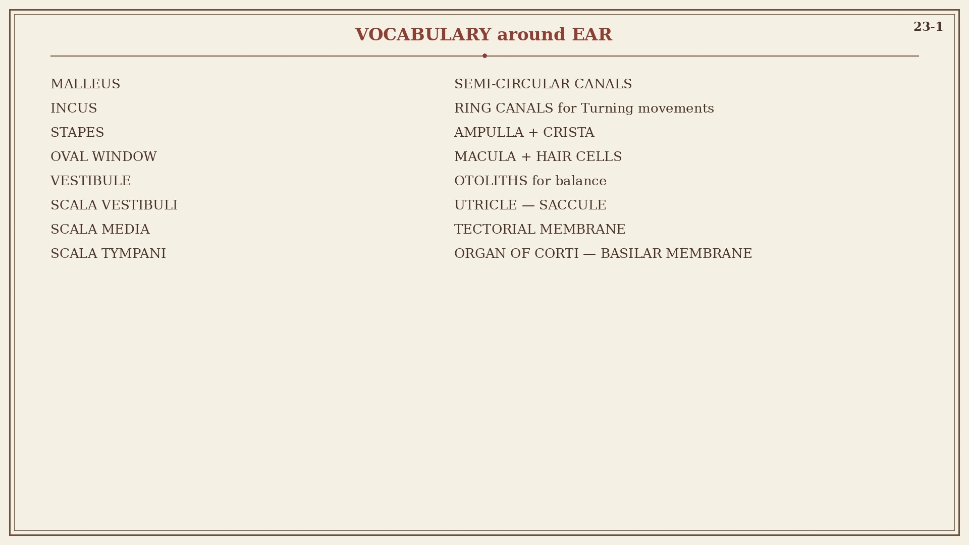 Chart 23-1: vocabulary of the ear