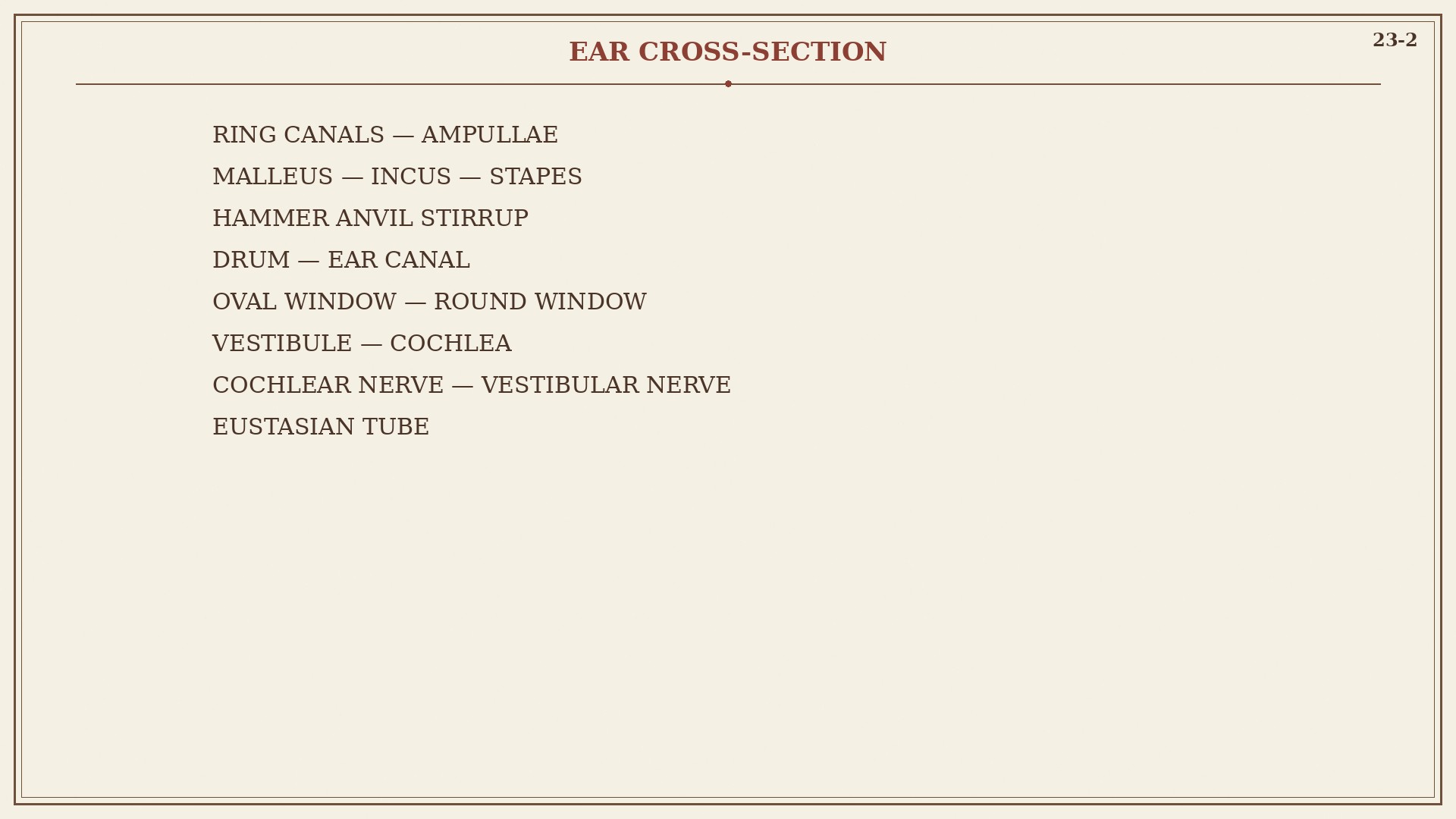 Chart 23-2 with cochlear and vestibular nerves