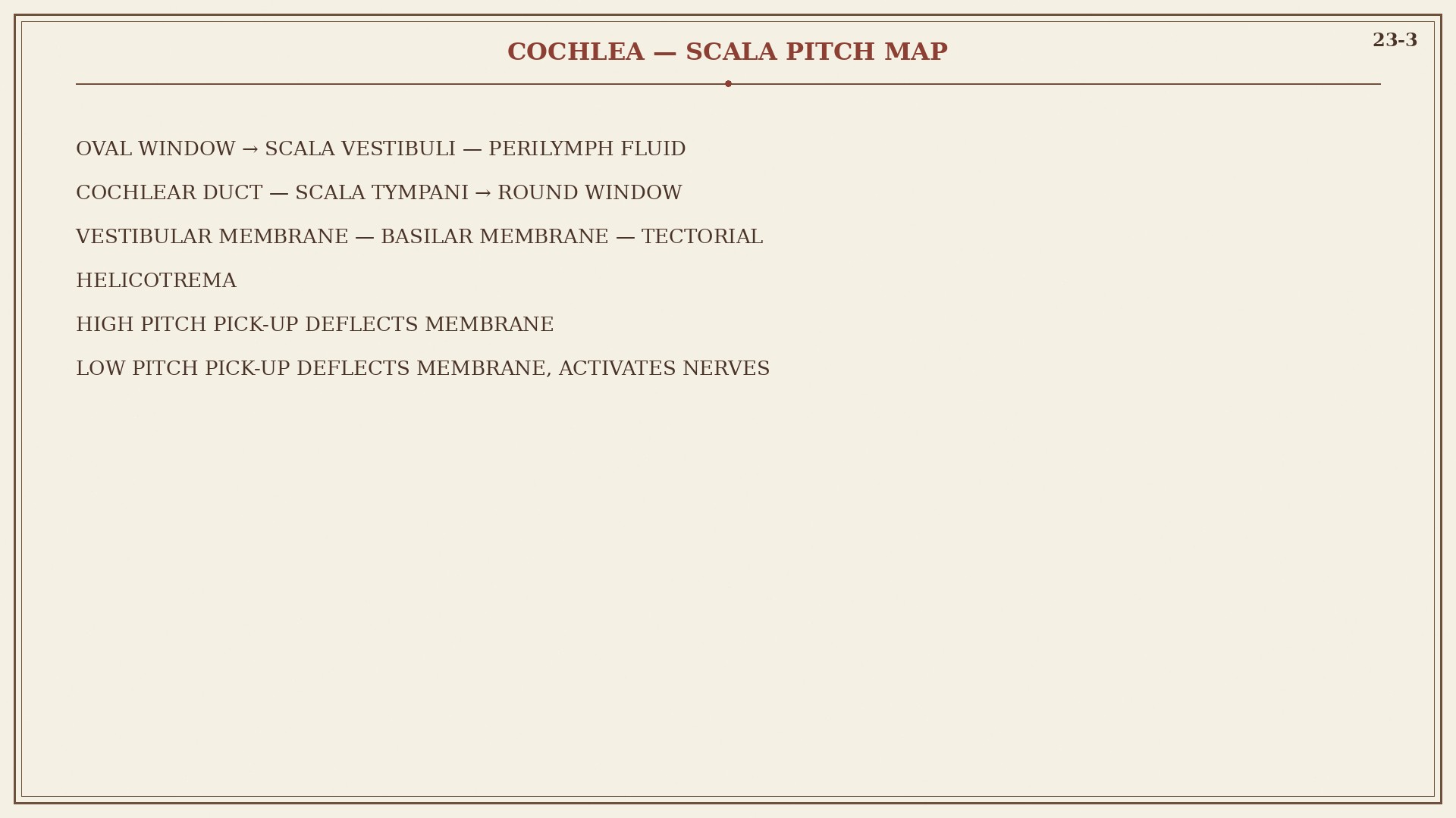 Chart 23-3: scala vestibuli, tympani, cochlear duct, helicotrema