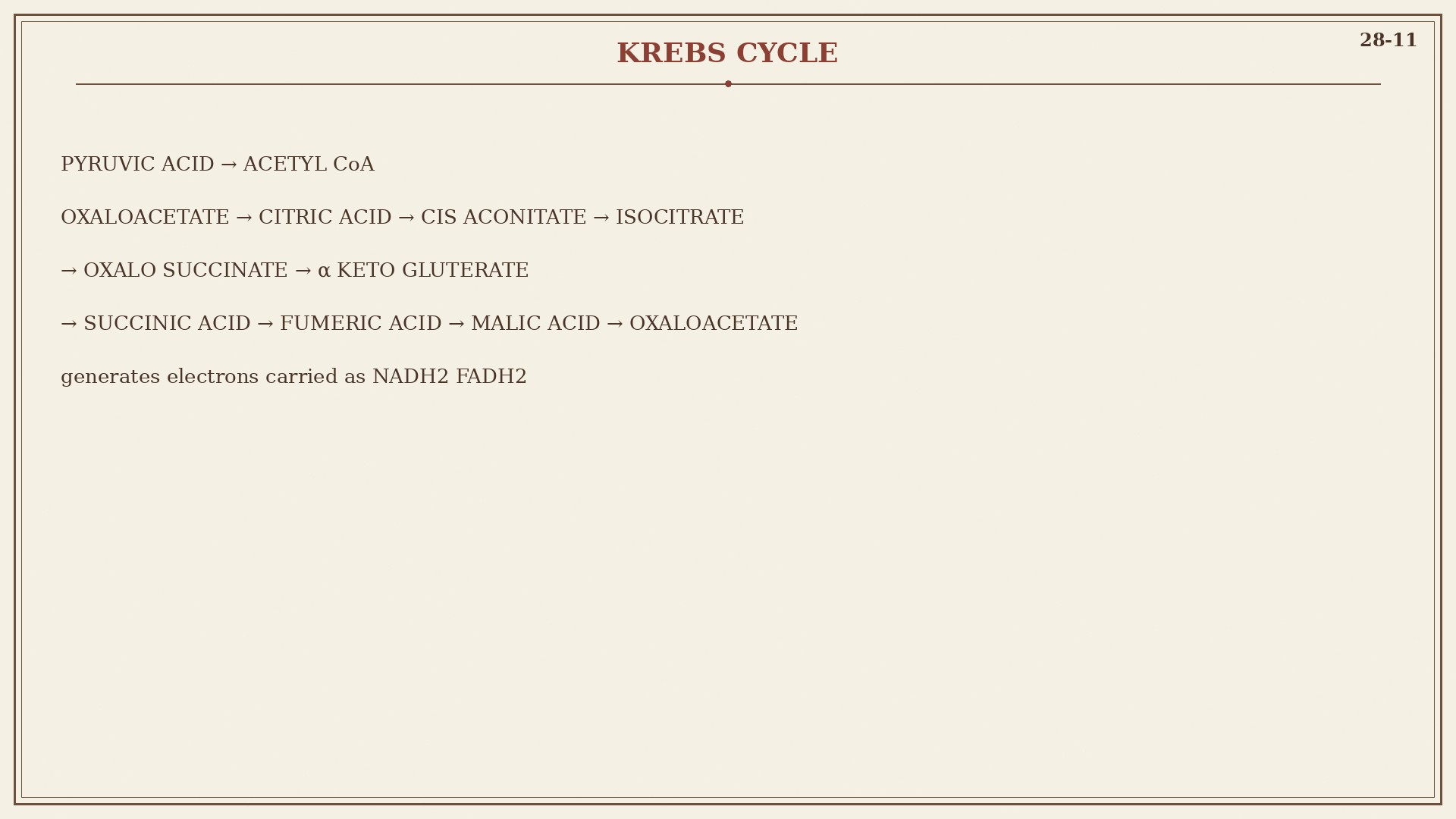 Chart 28-11: Krebs cycle