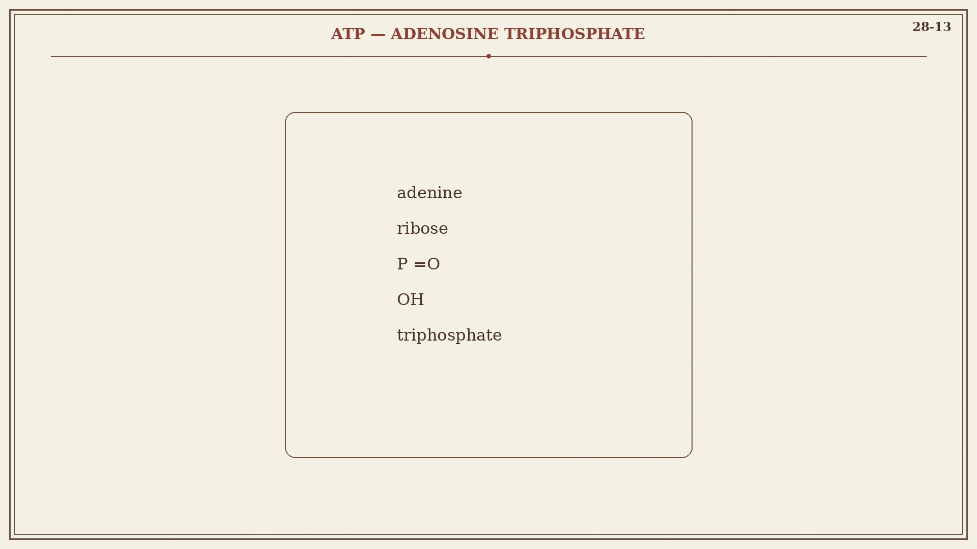 Chart 28-13: ATP, adenosine triphosphate