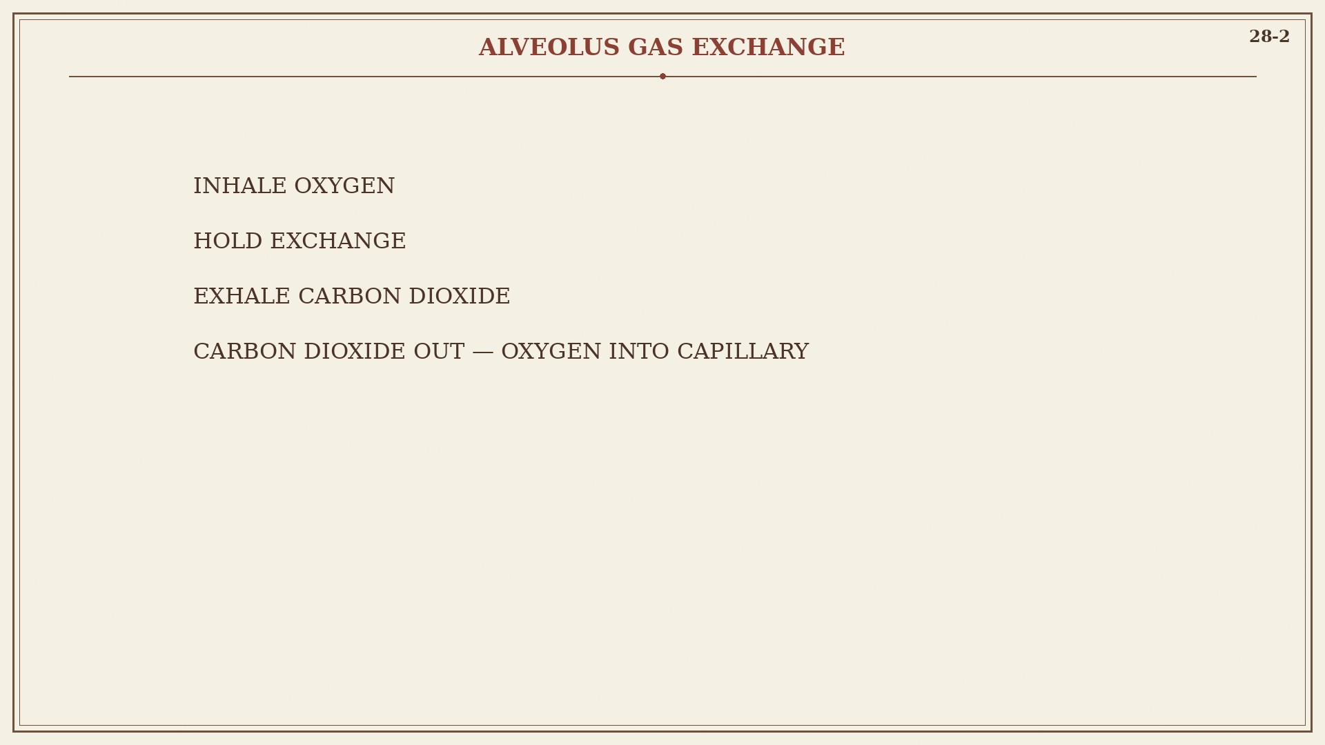 Chart 28-2: oxygen into capillary, carbon dioxide out