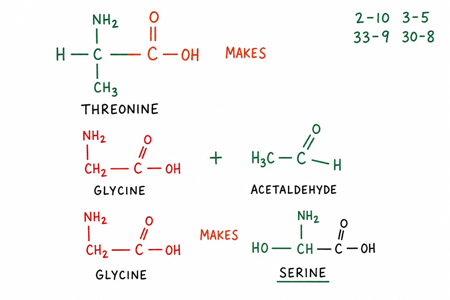 Chart 30-8: threonine makes glycine plus acetaldehyde, glycine makes serine