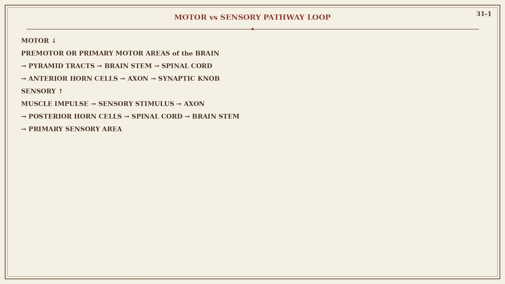 Chart 31-1: motor down the anterior horns, sensory back the posterior