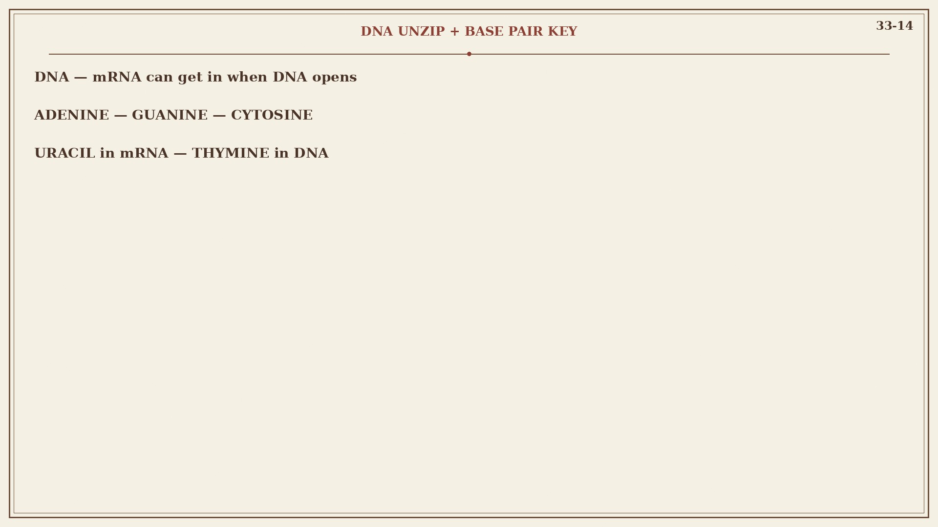 Chart 33-14: DNA opens for mRNA