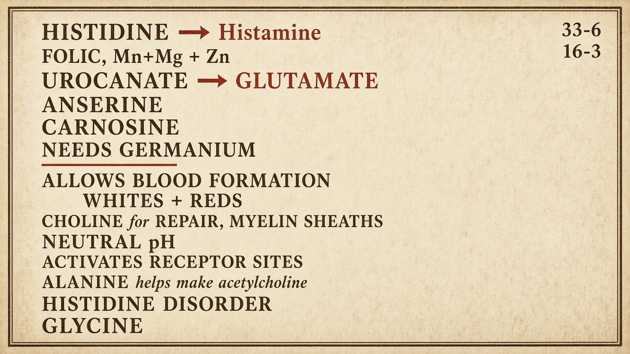 Chart 33-6: histidine’s three paths