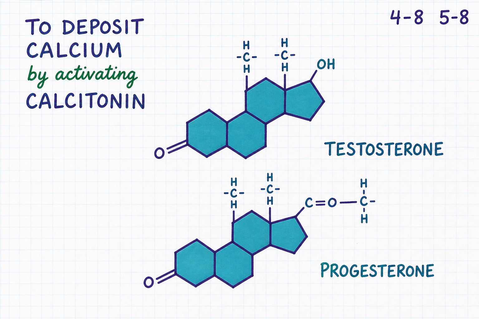 Chart 5-8 / 4-8: chemical structures of testosterone and progesterone, drawn as activating calcitonin