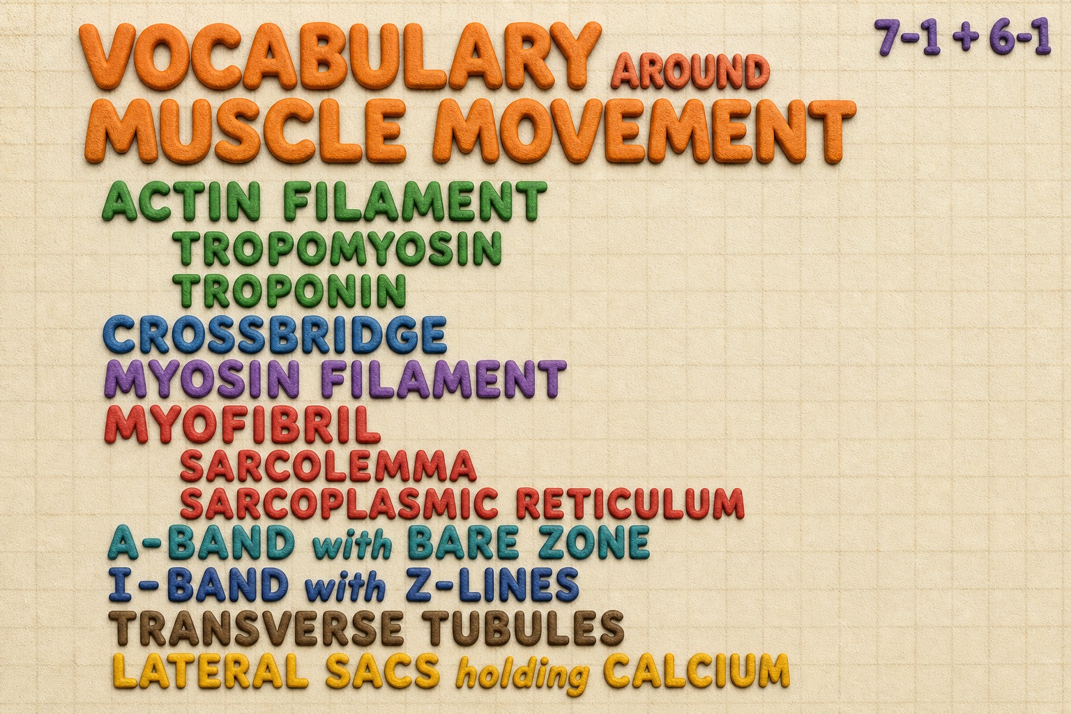 Chart 6-1: vocabulary around muscle movement — actin, tropomyosin, troponin, cross-bridge, myosin, myofibril, sarcolemma, sarcoplasmic reticulum, A-band, I-band, transverse tubules, lateral sacs