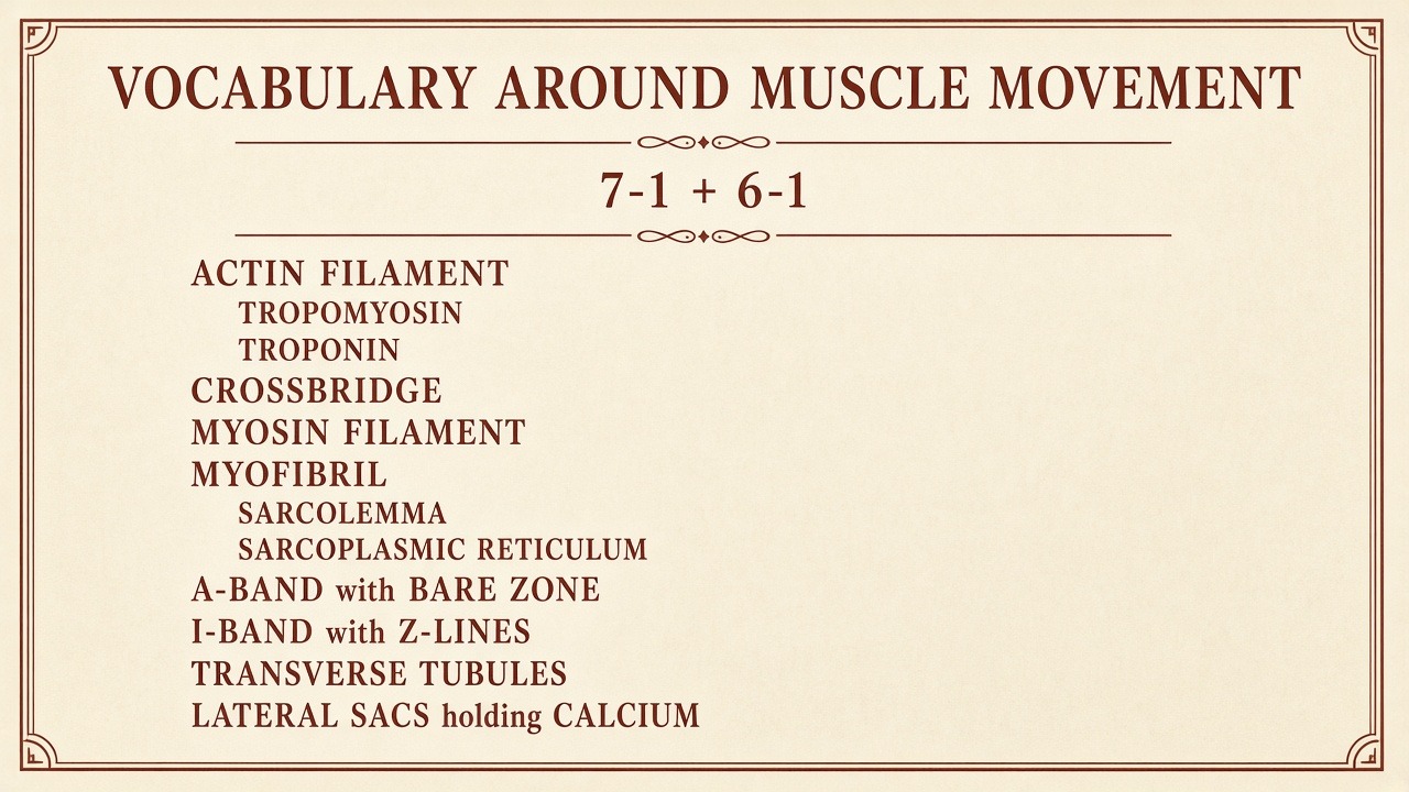 Chart 7-1: vocabulary around muscle movement — the same glossary as 6-1