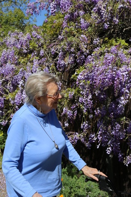 Priscilla Kapel in a blue turtleneck at wisteria, walker nearby